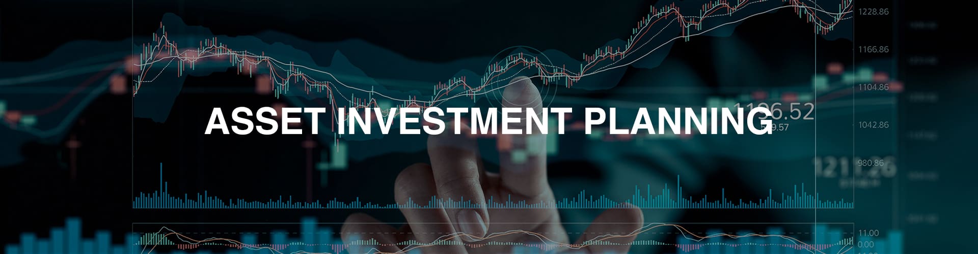 Asset Investment Planning
